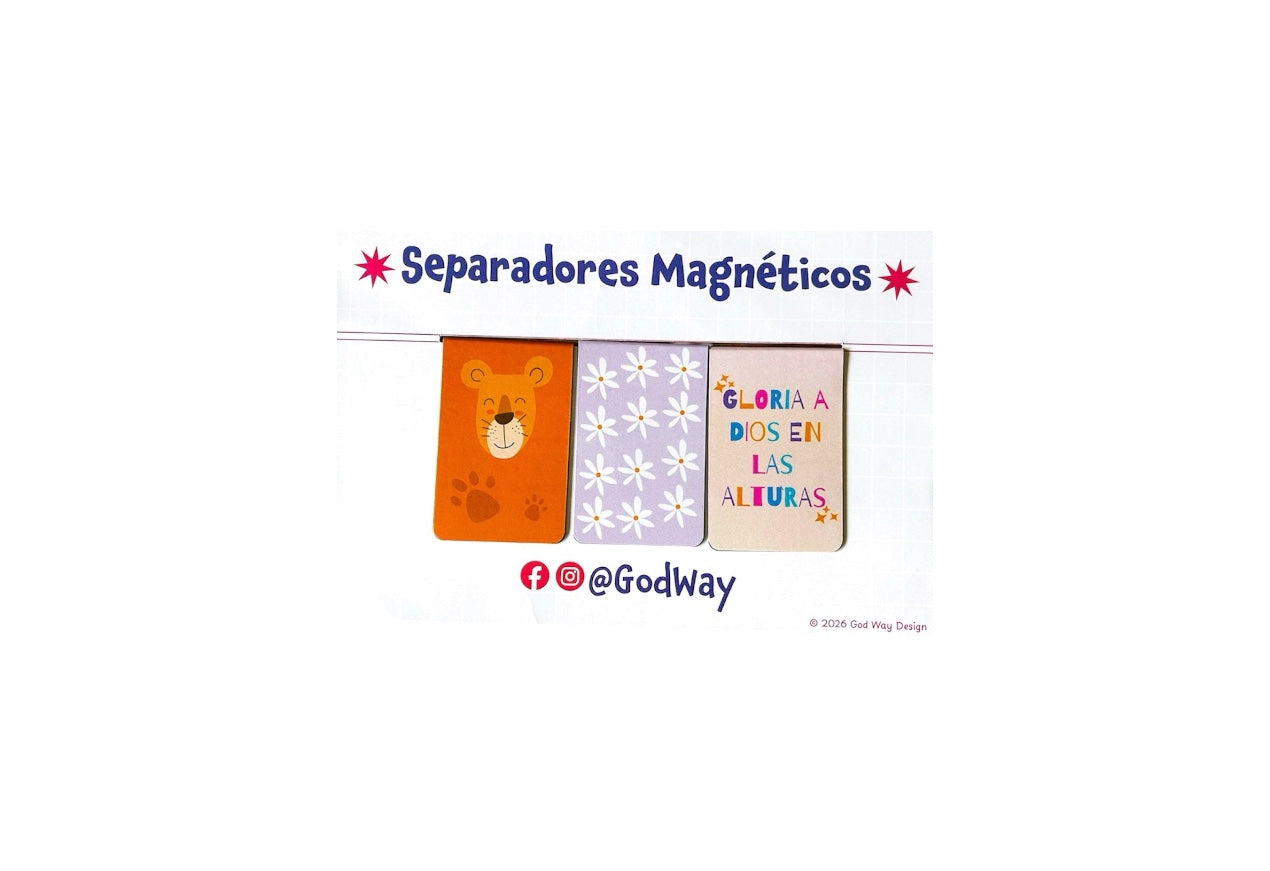 Separadores Magnéticos